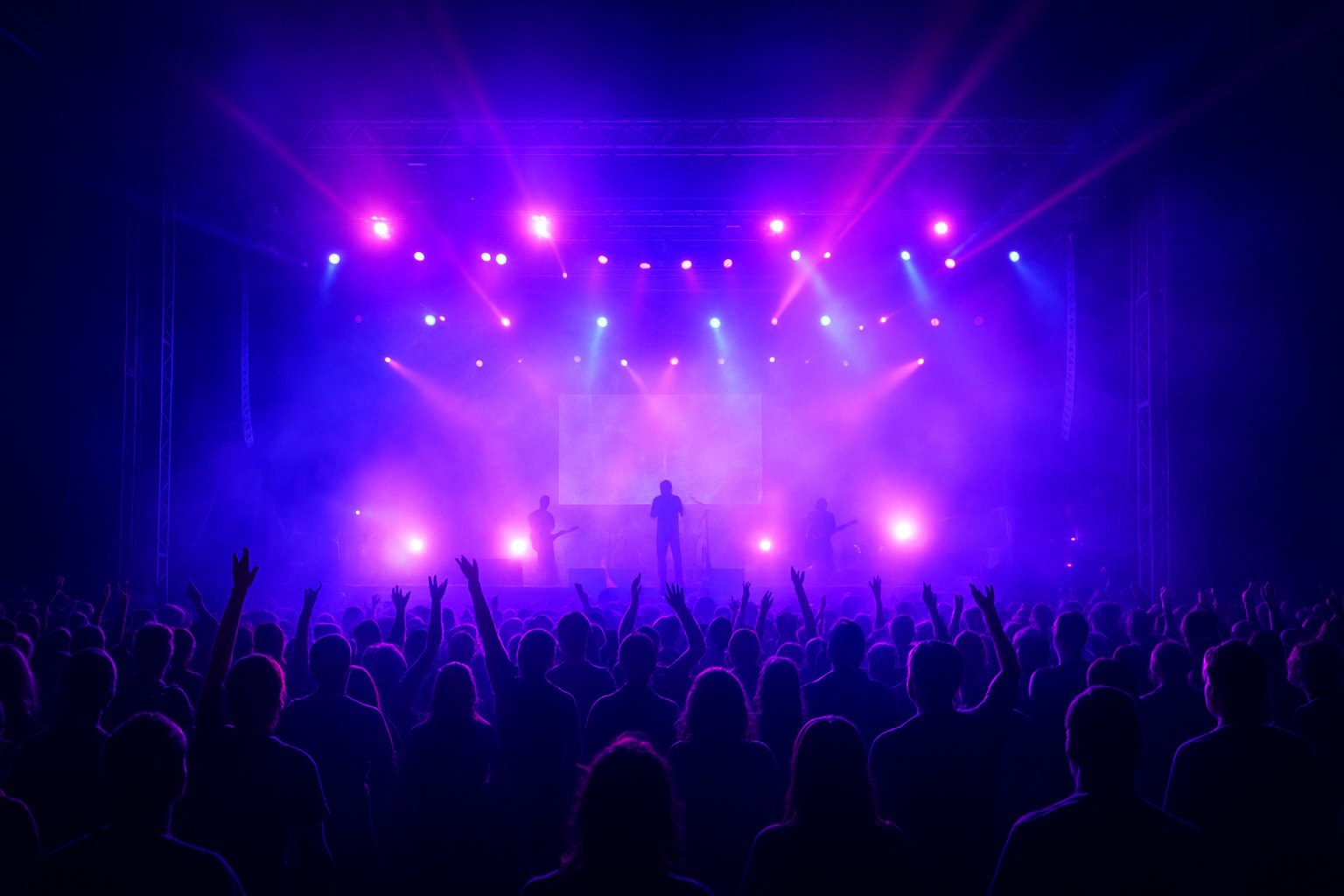 Concierto en un festival - público y escenario iluminado